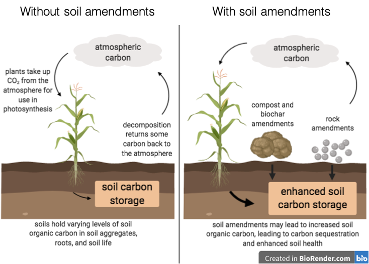 Soil amendments discount